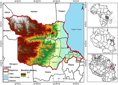 Examining climate trends and patterns and their implications for agricultural productivity in Bagamoyo District, Tanzania
